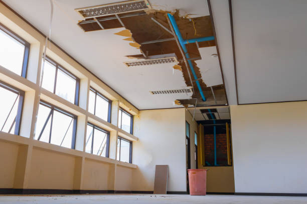 Best 24-hour water damage restoration  in Webster, TX