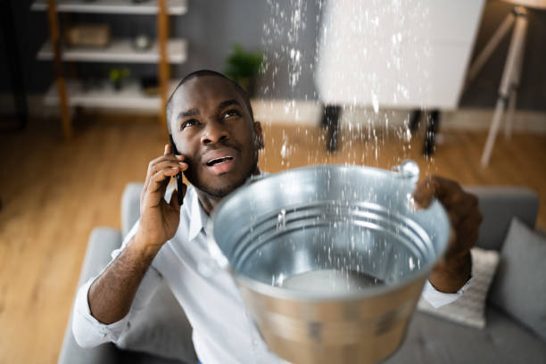 Best Professional water damage repair  in Webster, TX