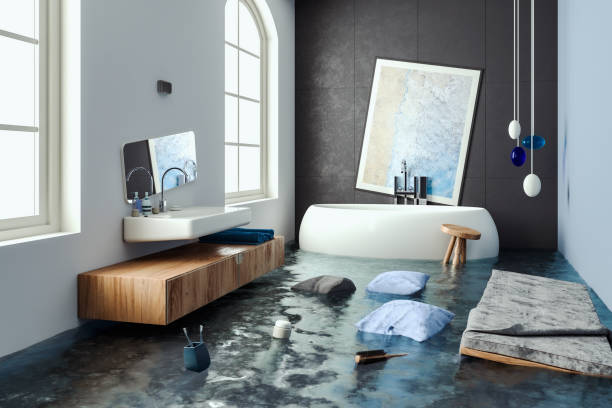 Best Residential water damage restoration  in Webster, TX