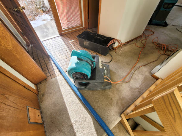 Best Water damage restoration company  in Webster, TX
