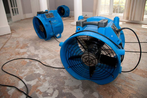 Best Flood damage cleanup  in Webster, TX