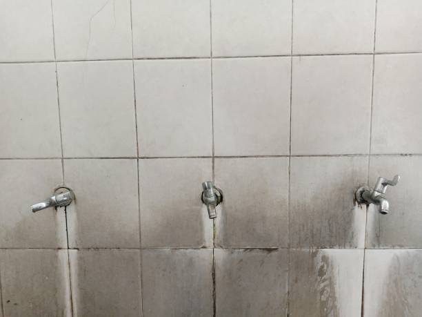 Best 24-hour water damage restoration  in Webster, TX