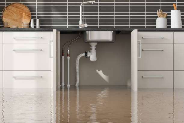 Best Fire Damage Restoration  in Webster, TX