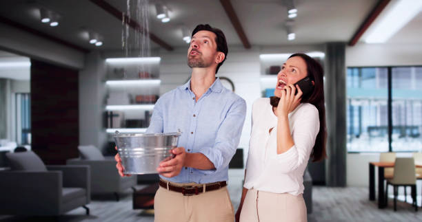  Webster, TX Water damage restoration Pros